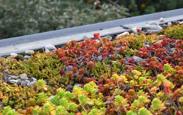 the cost of Govanhill green roof installation