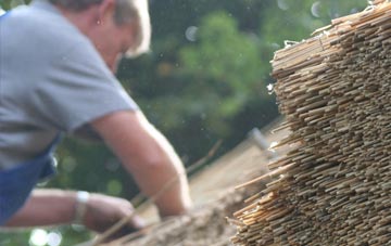 professional Govanhill thatchers